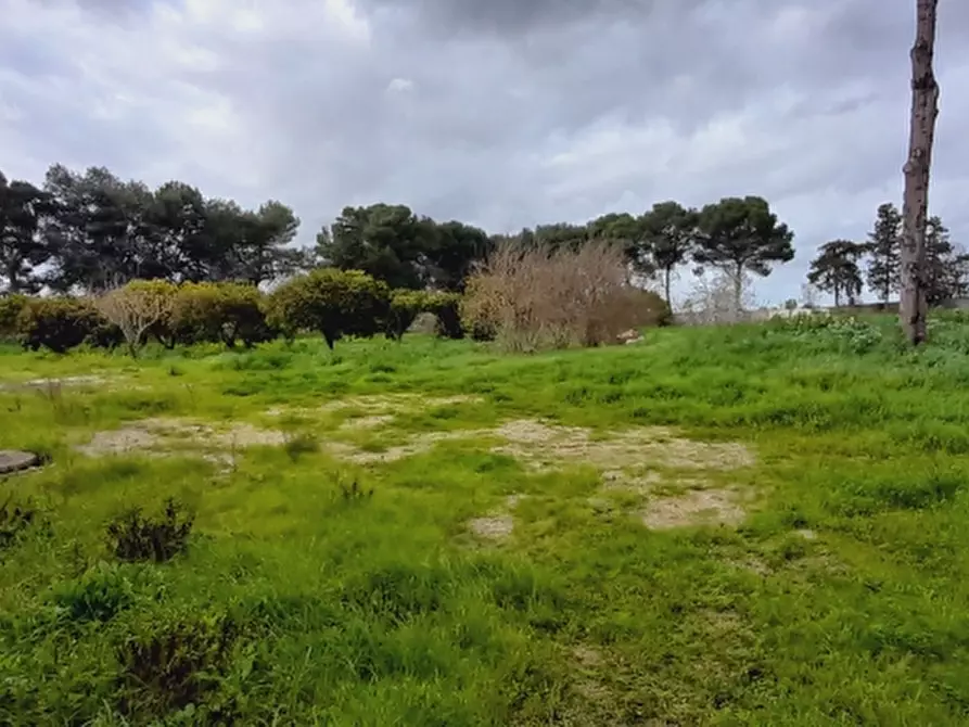 Immagine 20 di Capannone industriale in affitto  a Lecce