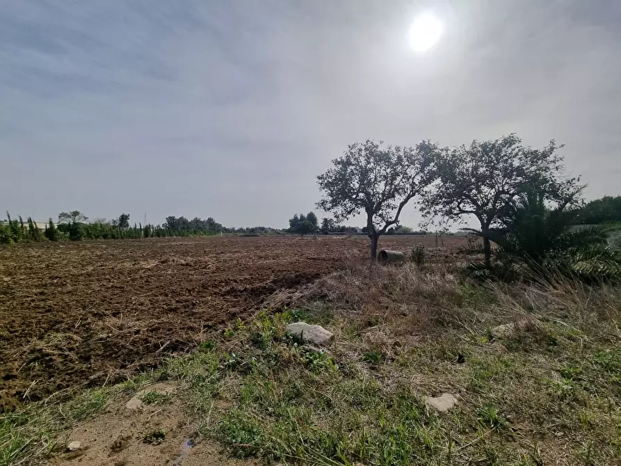 Immagine 17 di Rustico / casale in vendita  a Monteroni Di Lecce