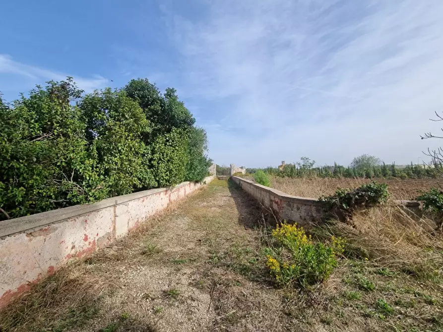 Immagine 18 di Rustico / casale in vendita  a Monteroni Di Lecce