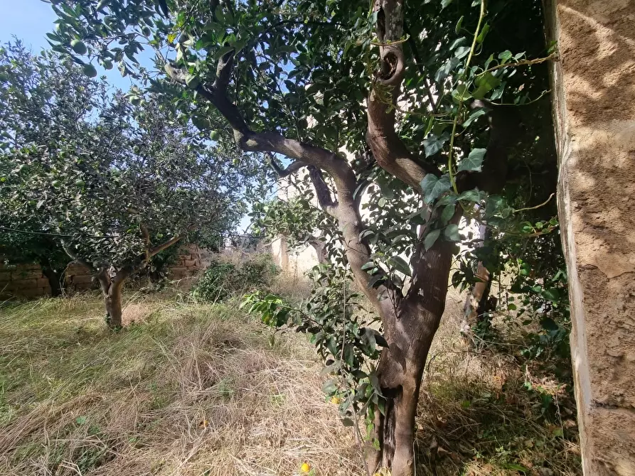 Immagine 20 di Rustico / casale in vendita  a Monteroni Di Lecce