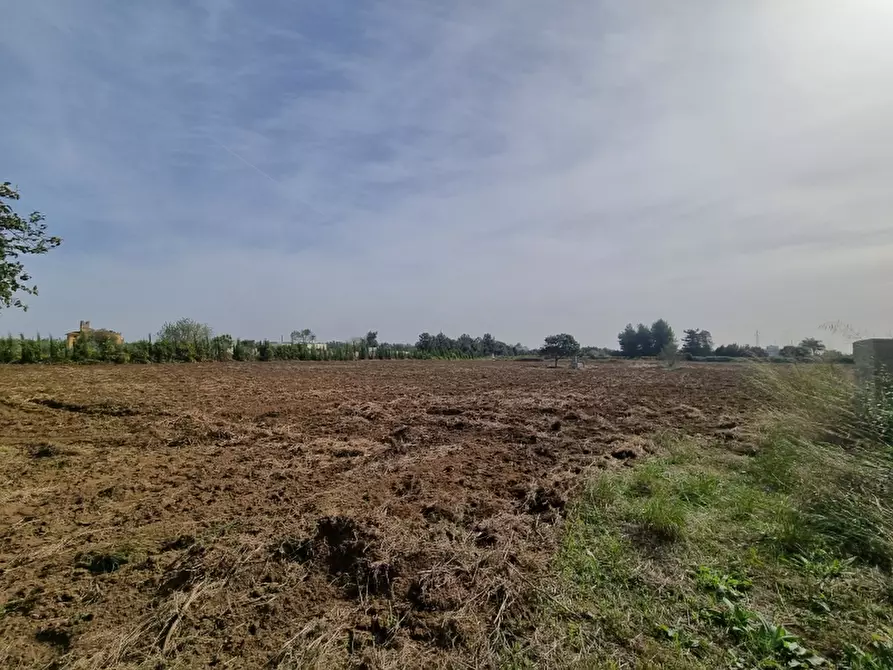 Immagine 21 di Rustico / casale in vendita  a Monteroni Di Lecce