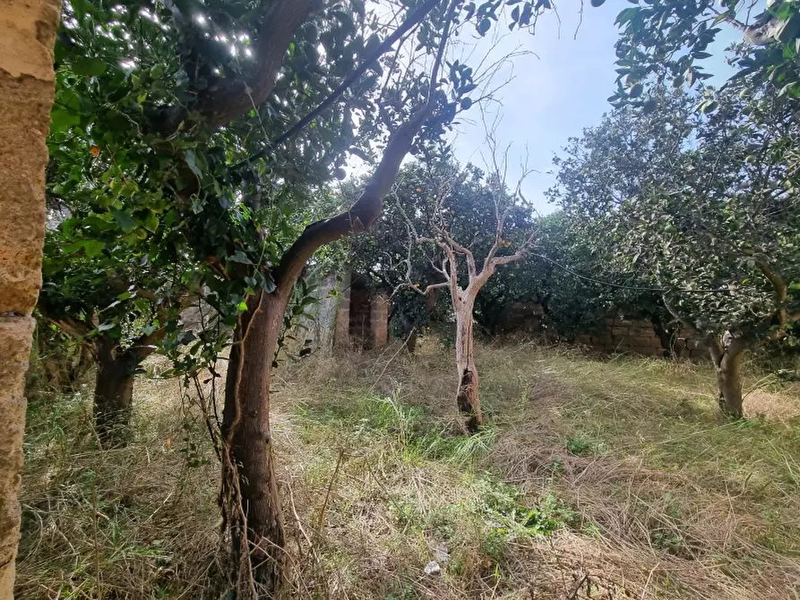 Immagine 22 di Rustico / casale in vendita  a Monteroni Di Lecce