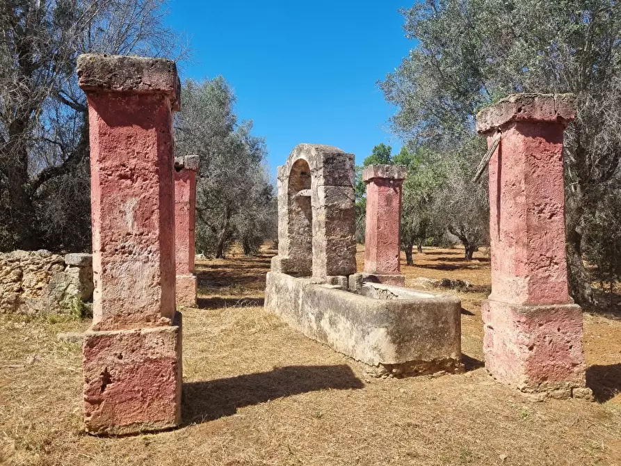 Immagine 4 di Rustico / casale in vendita  a Squinzano