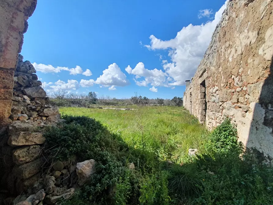 Immagine 16 di Masseria in vendita  in Contrada Occhiazzi a Ruffano