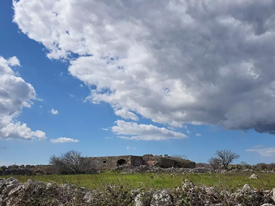 Immagine 3 di Masseria in vendita  in Contrada Occhiazzi a Ruffano