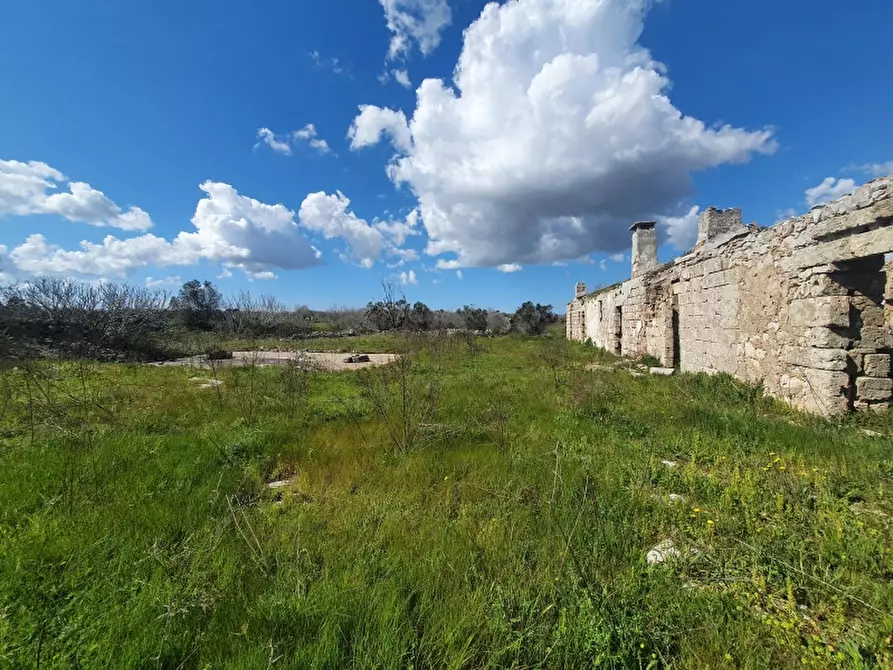 Immagine 4 di Masseria in vendita  in Contrada Occhiazzi a Ruffano