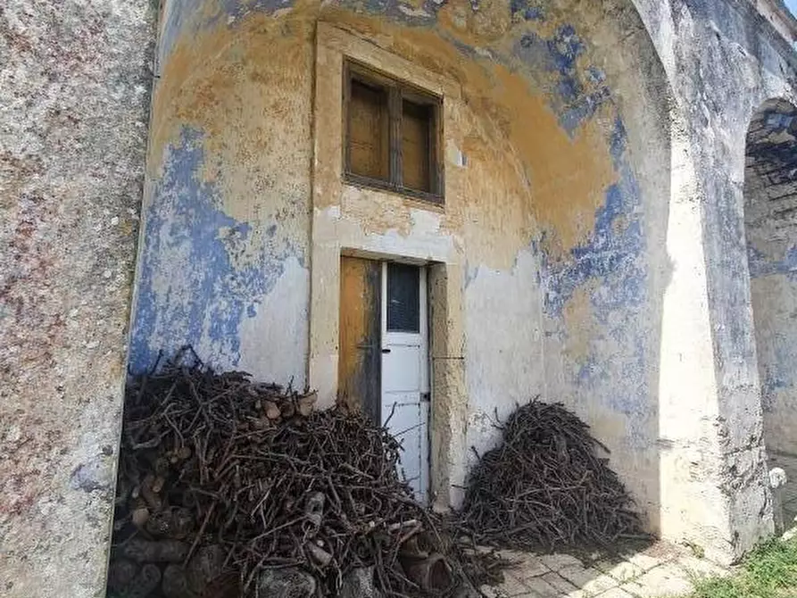 Immagine 19 di Masseria in vendita  a Monteroni Di Lecce