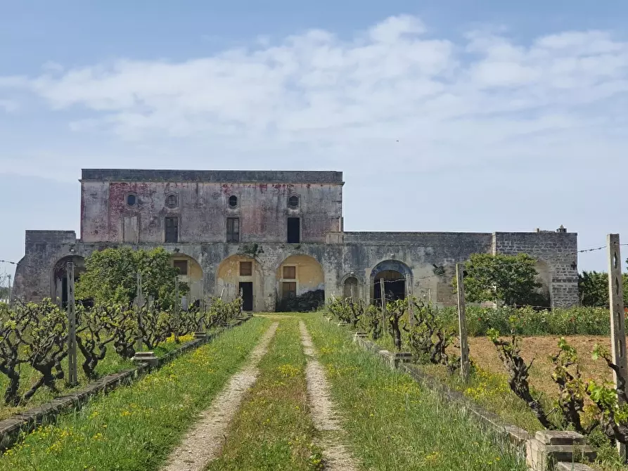 Immagine 1 di Masseria in vendita  in Strada Monteroni San Pietro in Lama snc a Monteroni Di Lecce