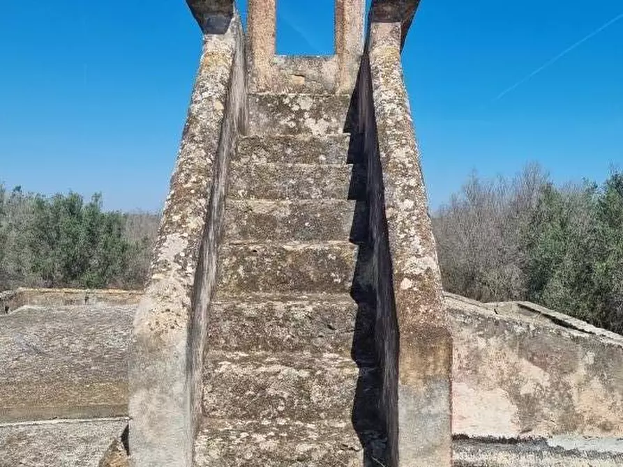 Immagine 7 di Rustico / casale in vendita  a Squinzano