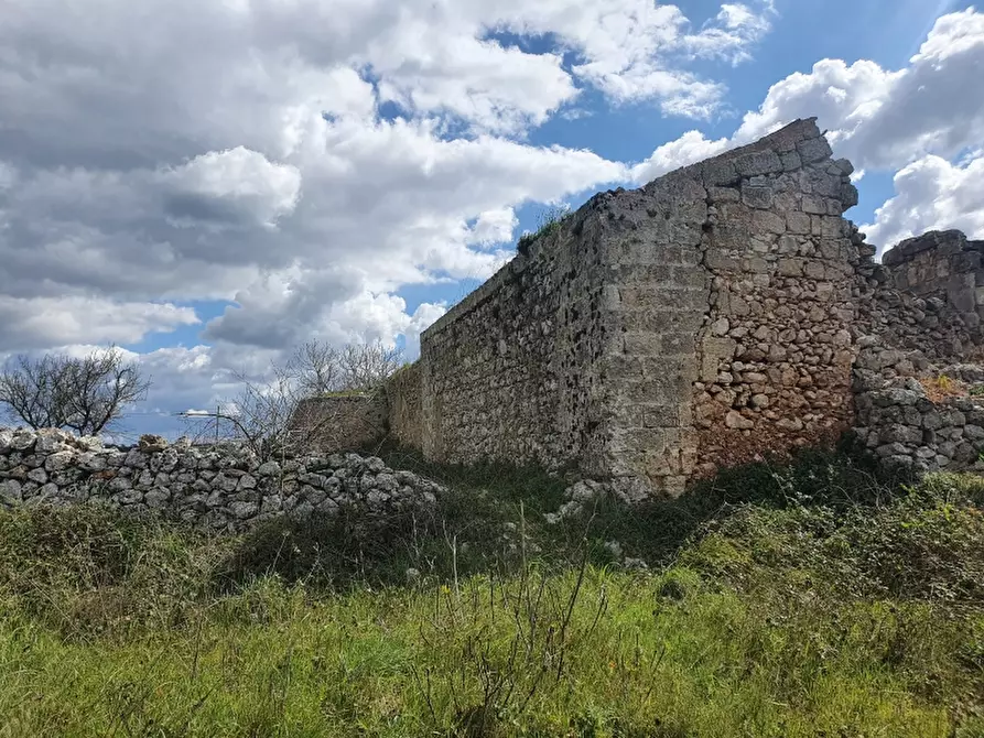 Immagine 5 di Masseria in vendita  in Contrada Occhiazzi a Ruffano
