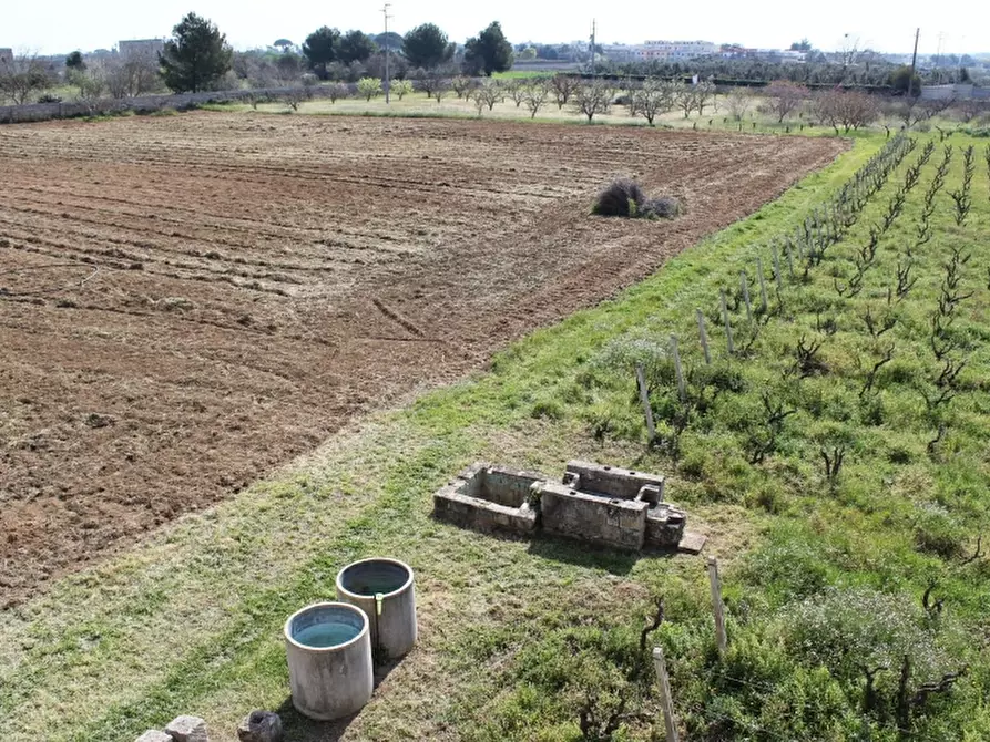 Immagine 8 di Masseria in vendita  a Monteroni Di Lecce