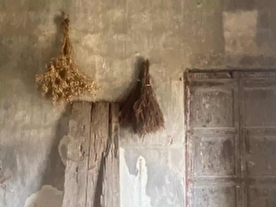 Immagine 2 di Masseria in vendita  a Monteroni Di Lecce