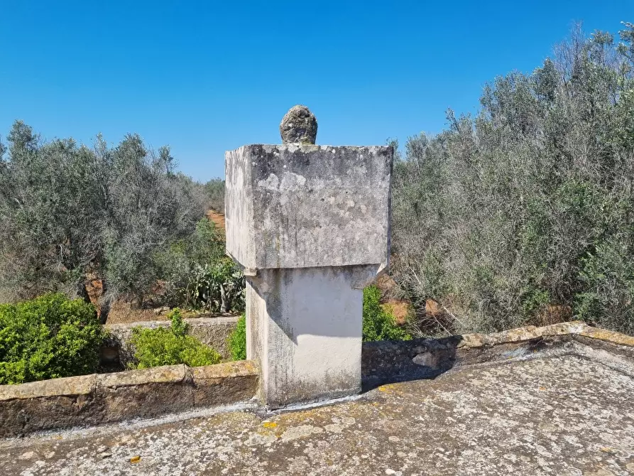 Immagine 13 di Rustico / casale in vendita  a Squinzano