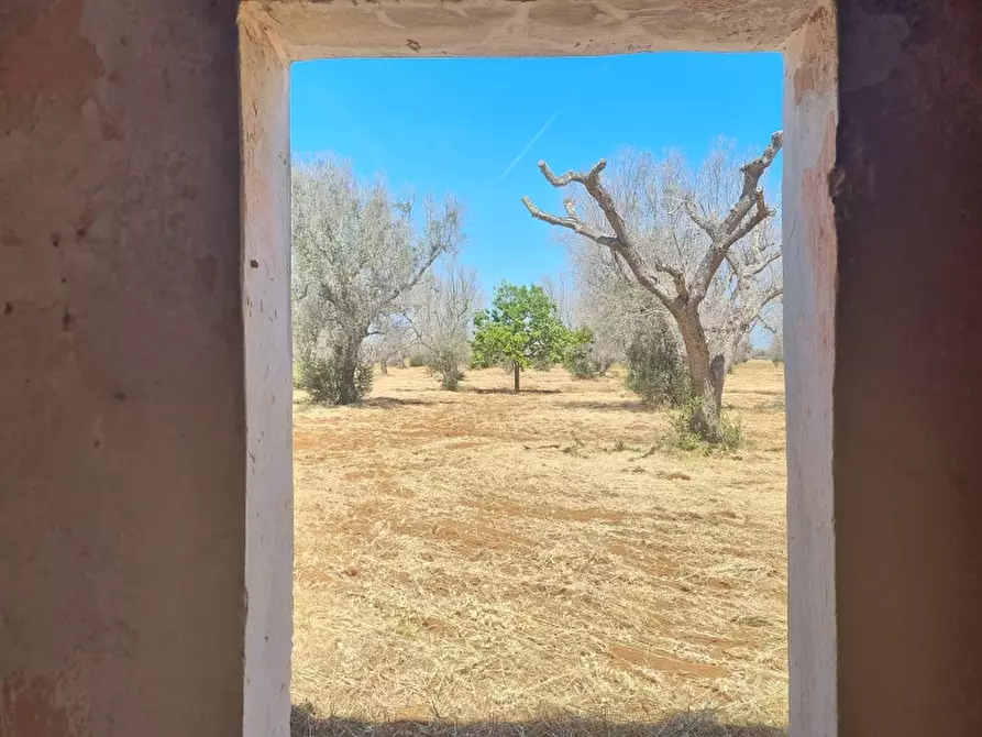 Immagine 1 di Rustico / casale in vendita  a Squinzano