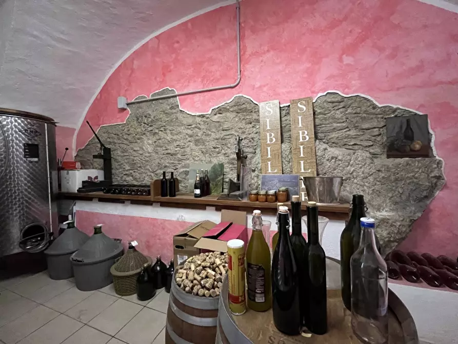 Immagine 11 di Azienda agricola in vendita  in REGIONE COLFACERO 3 a Gravere