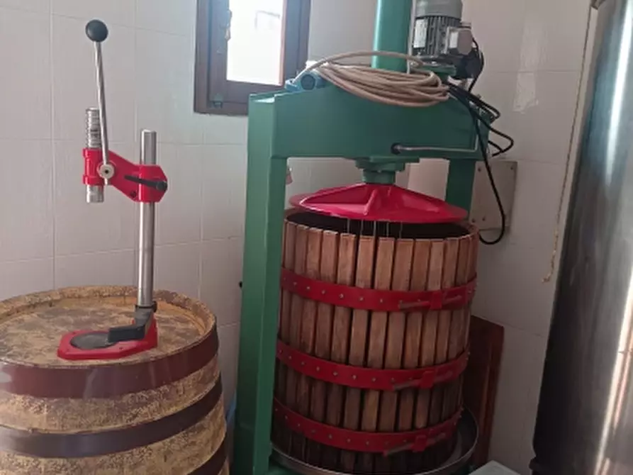 Immagine 17 di Azienda agricola in vendita  in REGIONE COLFACERO 3 a Gravere