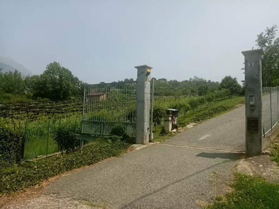 Immagine 21 di Azienda agricola in vendita  in REGIONE COLFACERO 3 a Gravere