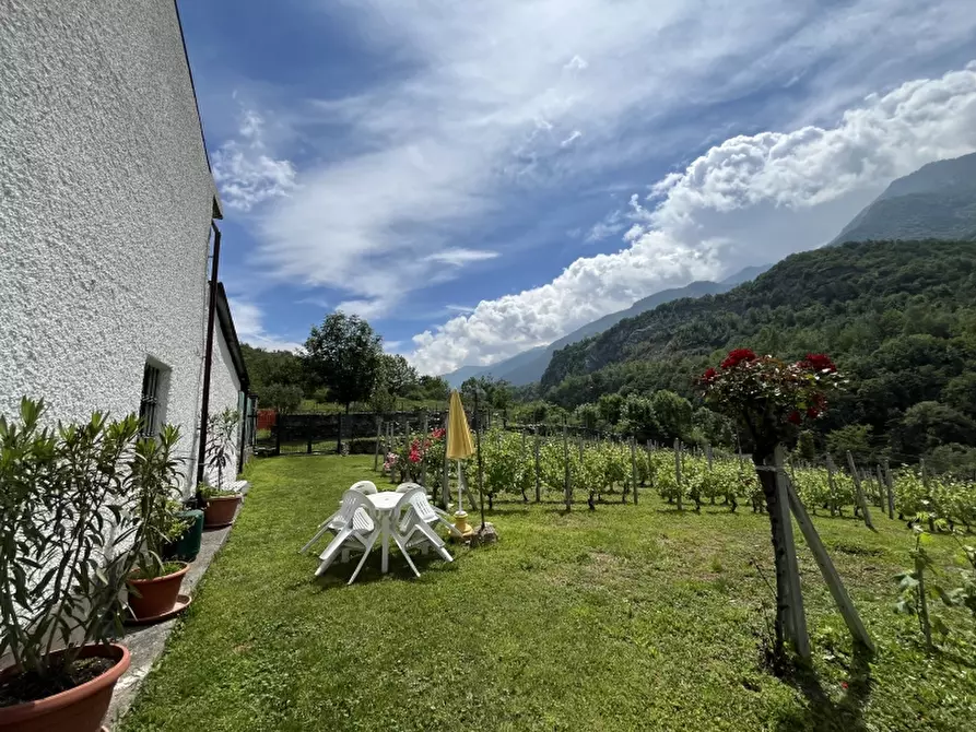 Immagine 5 di Azienda agricola in vendita  in REGIONE COLFACERO 3 a Gravere