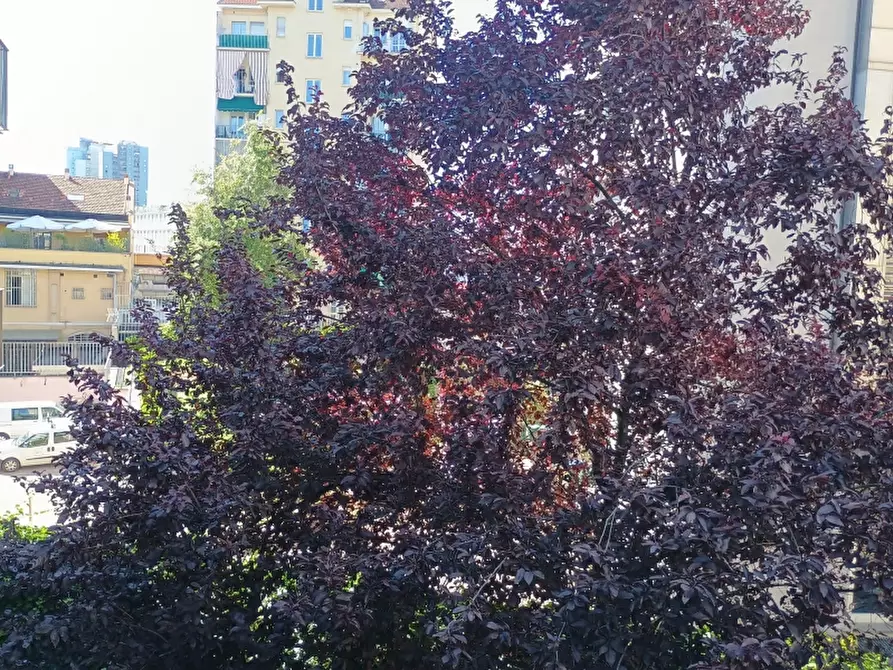 Immagine 2 di Appartamento in vendita  a Torino