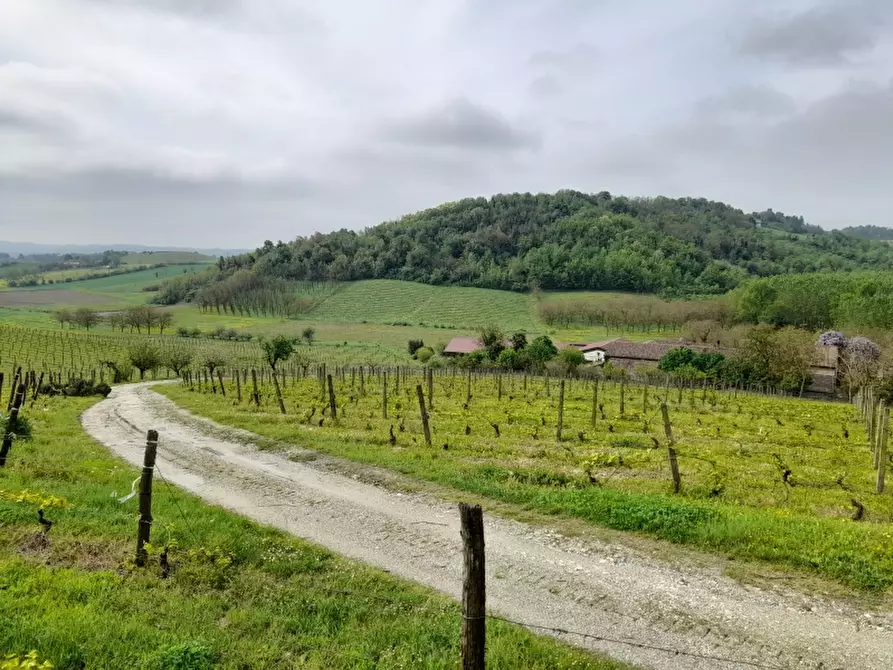 Immagine 13 di Rustico / casale in vendita  in CASCINA POZZANO 7/8 a Rosignano Monferrato
