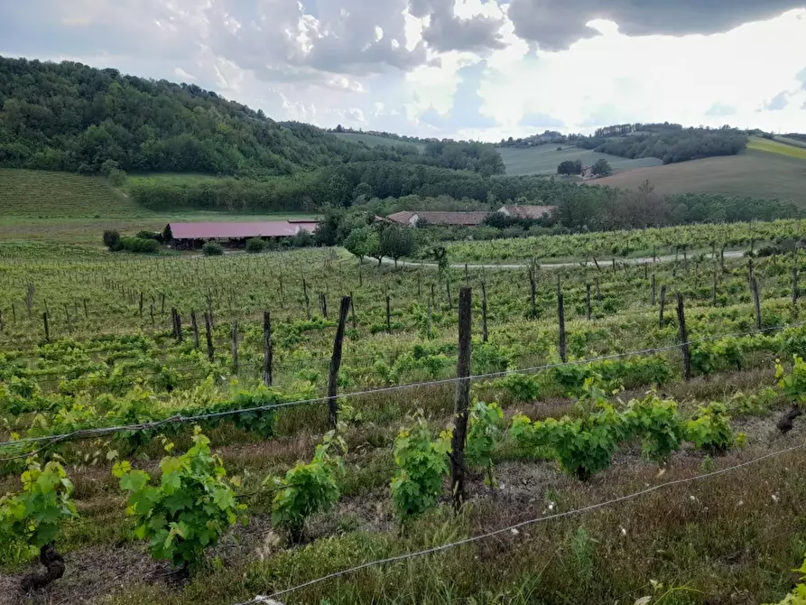 Immagine 15 di Rustico / casale in vendita  in CASCINA POZZANO 7/8 a Rosignano Monferrato