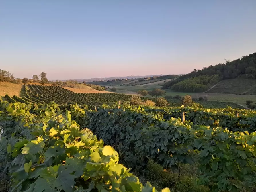 Immagine 3 di Rustico / casale in vendita  in CASCINA POZZANO 7/8 a Rosignano Monferrato