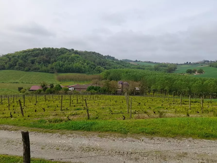Immagine 5 di Rustico / casale in vendita  in CASCINA POZZANO 7/8 a Rosignano Monferrato