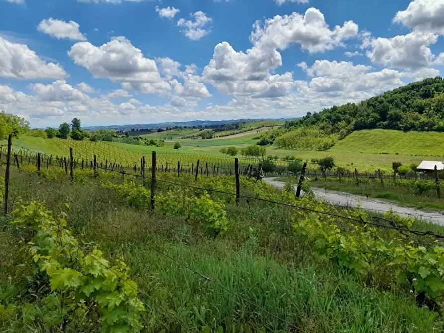 Immagine 7 di Rustico / casale in vendita  in CASCINA POZZANO 7/8 a Rosignano Monferrato