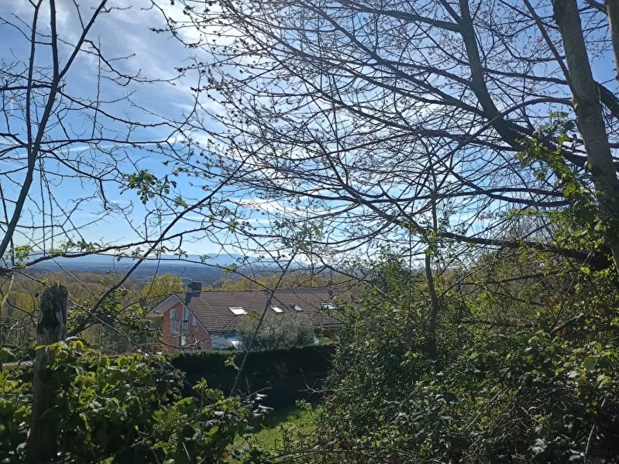 Immagine 16 di Terreno residenziale in vendita  in GIVOLETTO a Givoletto