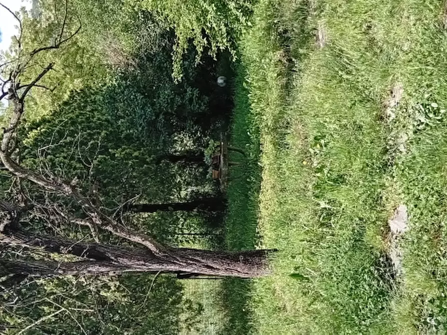 Immagine 7 di Rustico / casale in vendita  a Villar Focchiardo