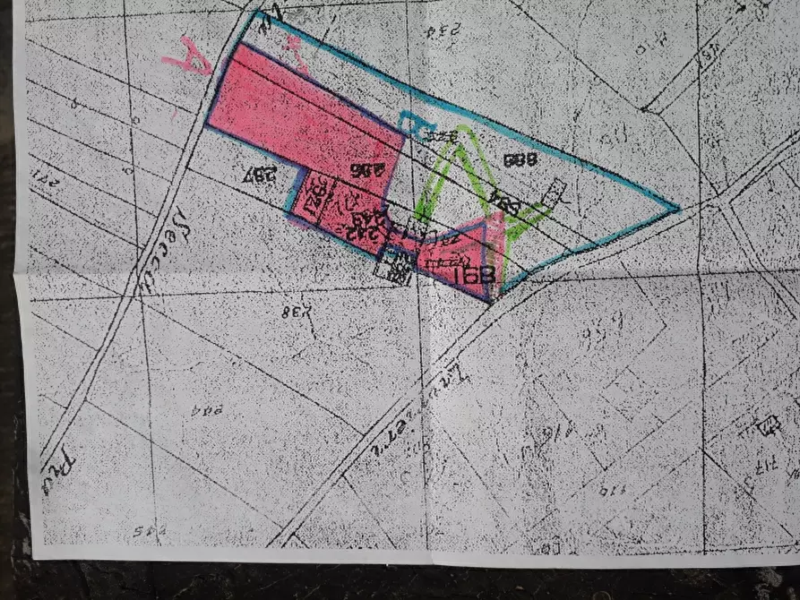 Immagine 5 di Casa indipendente in vendita  in Contrada Grotticelle vicino scopelli e Baia Guisaloca a Castellammare Del Golfo