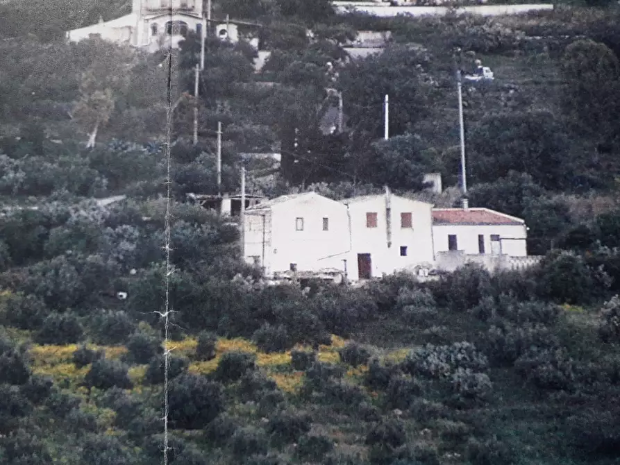 Immagine 6 di Casa indipendente in vendita  in Contrada Grotticelle vicino scopelli e Baia Guisaloca a Castellammare Del Golfo