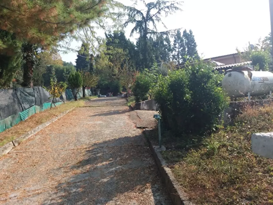 Immagine 4 di Villa in vendita  a Torino