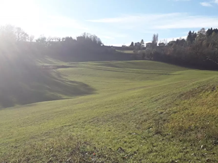Immagine 9 di Rustico / casale in vendita  in VIA CHIERI -STRADA DEL CERVO 8 a Baldissero Torinese