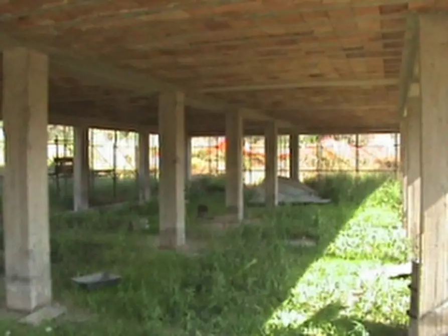 Immagine 5 di Terreno agricolo in vendita  a Montecorice