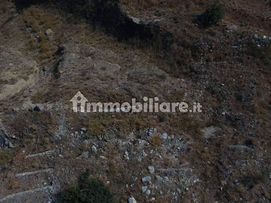 Immagine 2 di Terreno residenziale in vendita  a Forza D'agro'