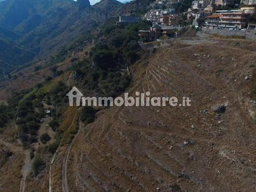 Immagine 6 di Terreno residenziale in vendita  a Forza D'agro'