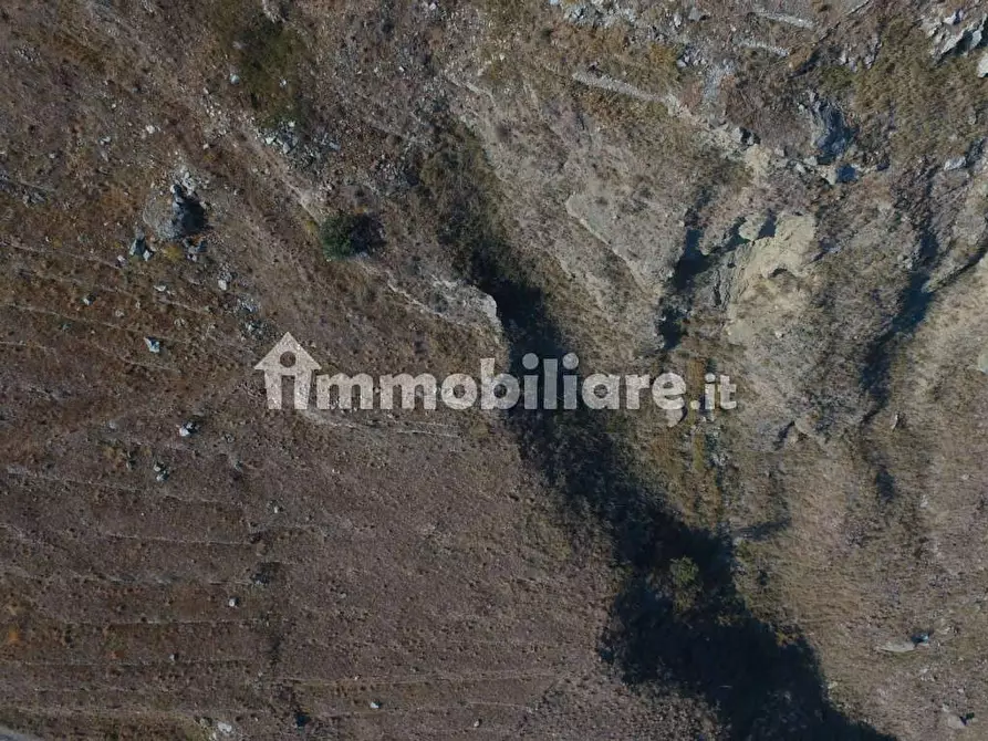 Immagine 8 di Terreno residenziale in vendita  a Forza D'agro'