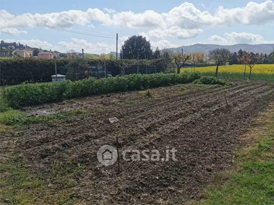 Immagine 26 di Rustico / casale in vendita  in Via dell'Arco a Magione