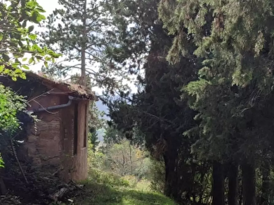 Immagine 26 di Rustico / casale in vendita  in Terme di Fontecchio 2 a Città Di Castello