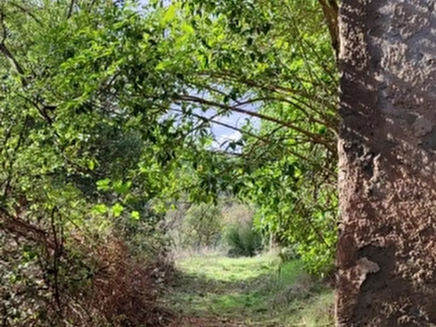 Immagine 29 di Rustico / casale in vendita  in Terme di Fontecchio 2 a Città Di Castello