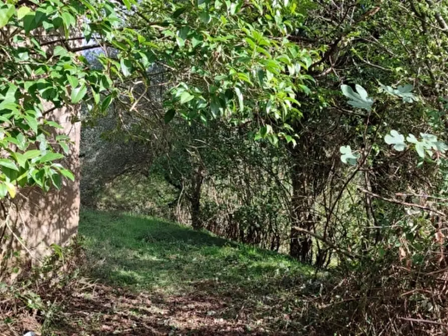 Immagine 30 di Rustico / casale in vendita  in Terme di Fontecchio 2 a Città Di Castello