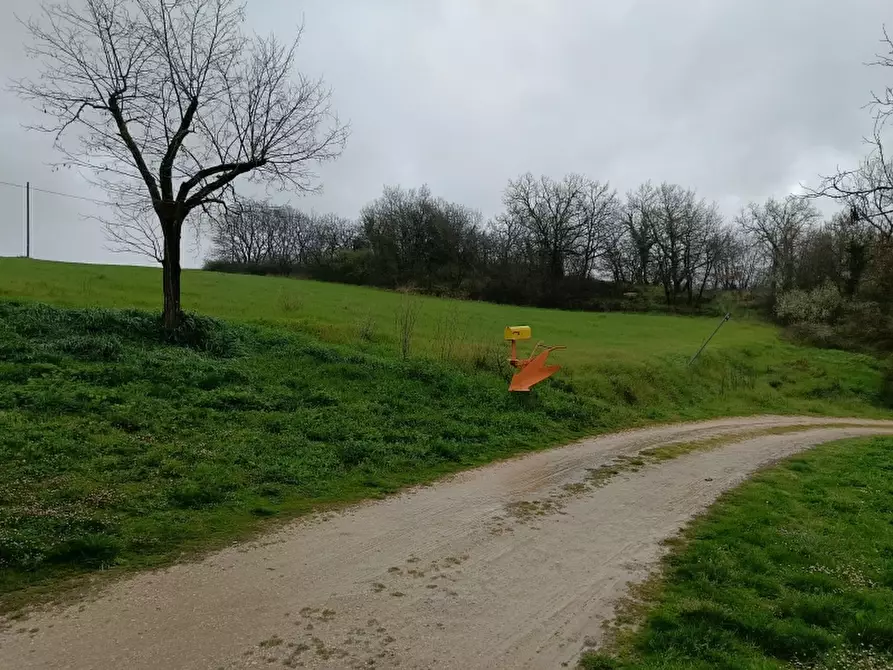 Immagine 7 di Rustico / casale in vendita  in Strada Provinciale 2 a Paciano
