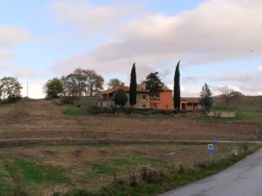 Immagine 3 di Rustico / casale in vendita  in Strada Provinciale 2 a Paciano