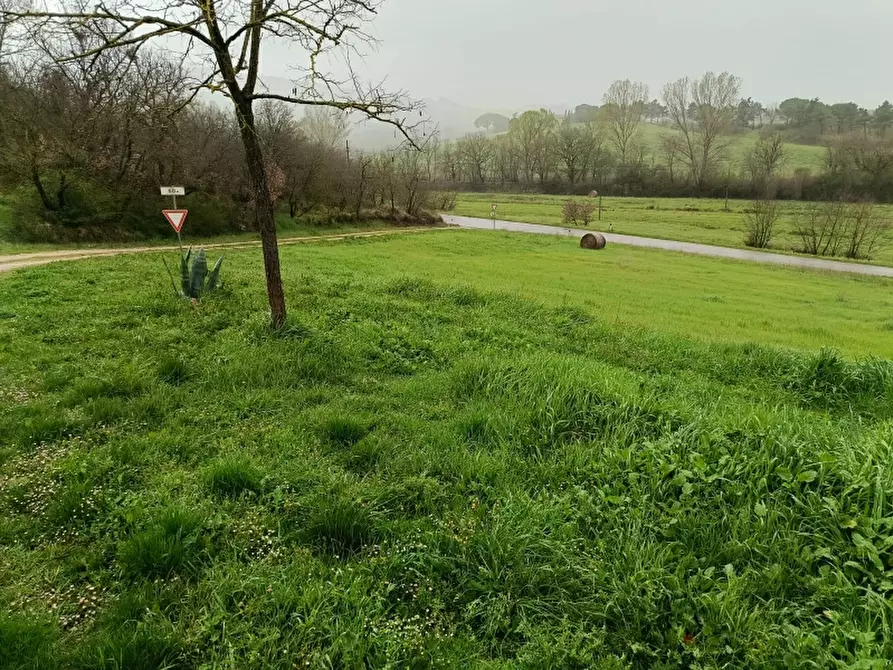 Immagine 12 di Rustico / casale in vendita  in Strada Provinciale 2 a Paciano