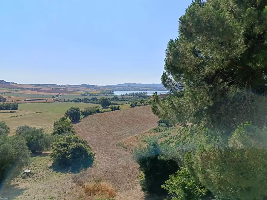 Immagine 24 di Palazzo in vendita  in Via Toscana a Castiglione Del Lago