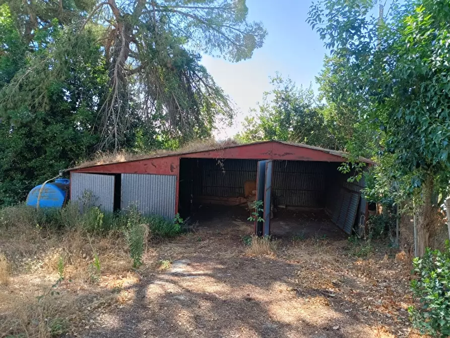 Immagine 29 di Palazzo in vendita  in Via Toscana a Castiglione Del Lago