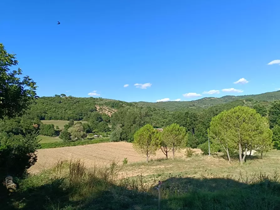 Immagine 4 di Porzione di casa in vendita  in Casaltondo a Città Della Pieve