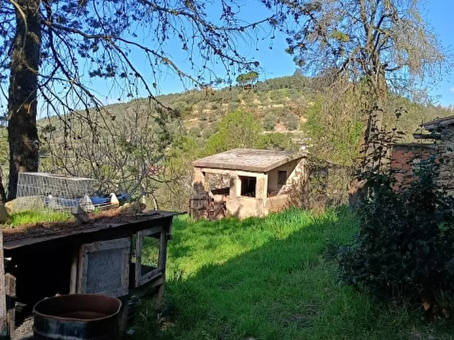 Immagine 5 di Rustico / casale in vendita  in Via Bandite a Magione