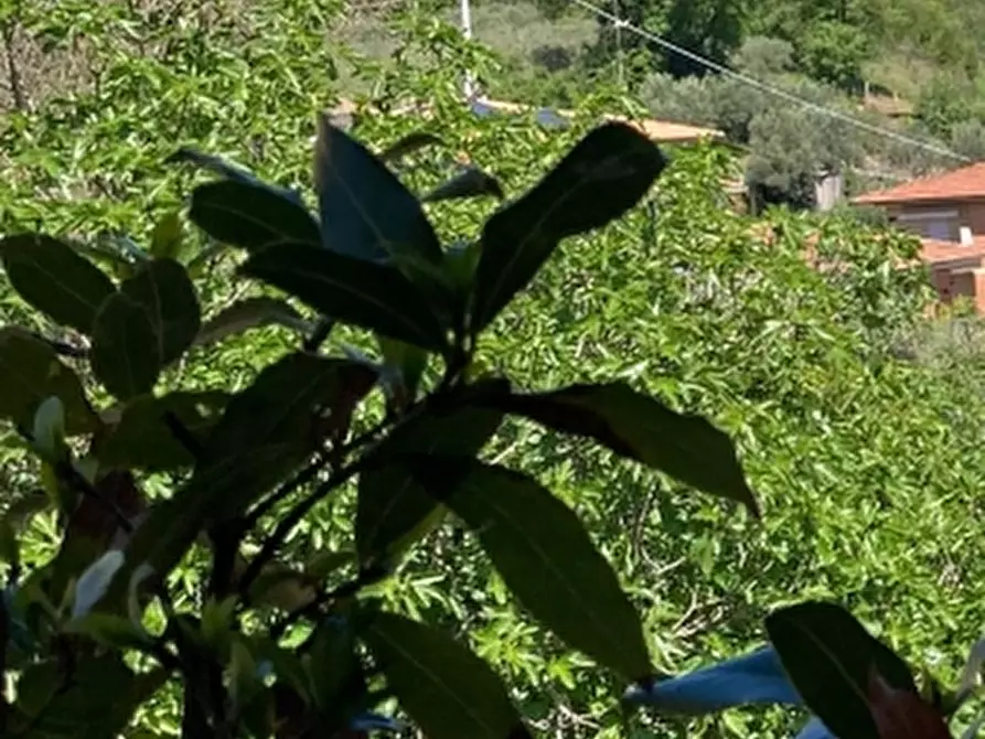 Immagine 18 di Appartamento in vendita  in Via Garibaldi a Magione